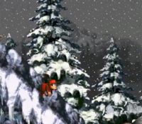 une photo d'Ã©cran de Donkey Kong Country sur Nintendo Super Nes